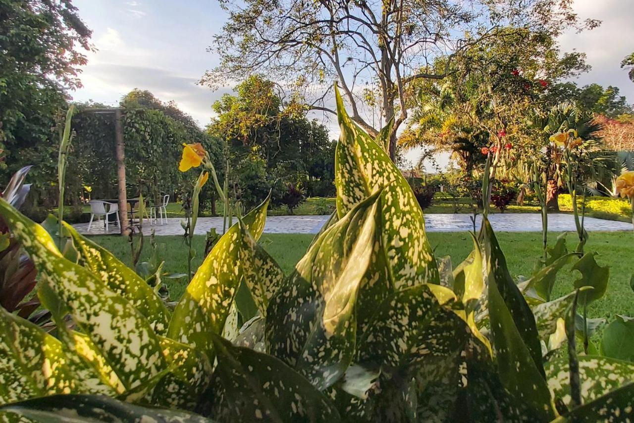 Balsora Hotel Boutique El Edén Екстериор снимка
